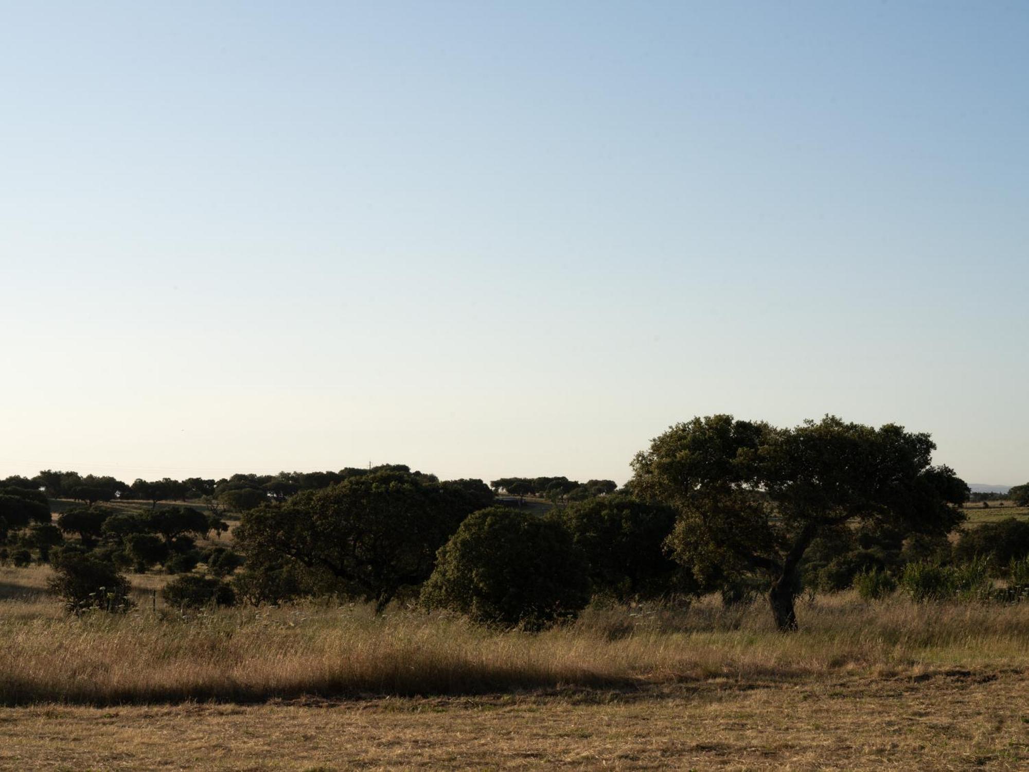 Change The World - Herdade Monte Do Peral Montes Juntos Экстерьер фото